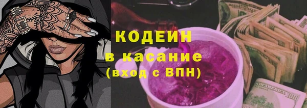 хмурый Лагань