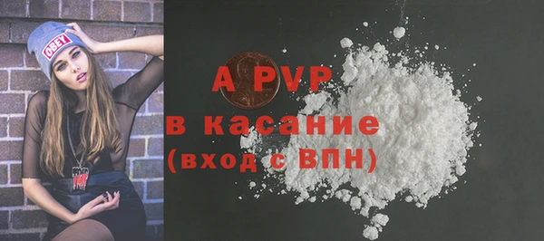 шишки Ладушкин
