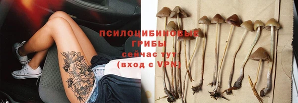 шишки Ладушкин