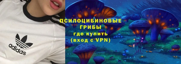 хмурый Лагань