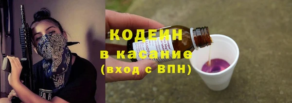 шишки Ладушкин