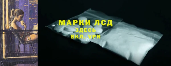 гашик Калининец