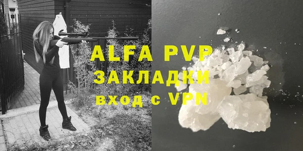 шишки Ладушкин