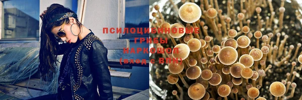 шишки Ладушкин