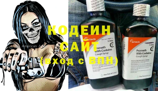 шишки Ладушкин