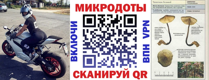 Купить где  Мамадыш  Галлюциногенные грибы Cubensis 